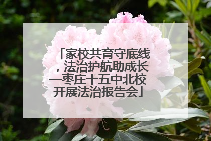 家校共育守底线，法治护航助成长—枣庄十五中北校开展法治报告会
