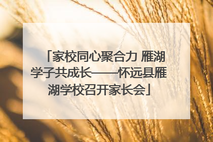 家校同心聚合力 雁湖学子共成长——怀远县雁湖学校召开家长会