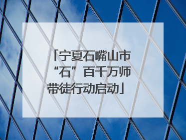 宁夏石嘴山市“石”百千万师带徒行动启动