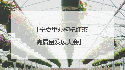宁夏举办枸杞红茶高质量发展大会