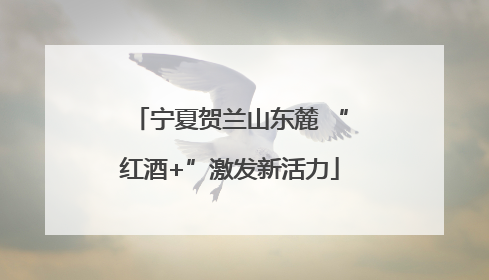 宁夏贺兰山东麓 “红酒+”激发新活力