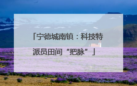 宁德城南镇：科技特派员田间“把脉”