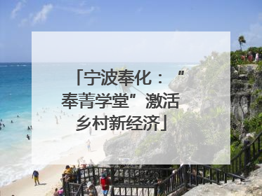 宁波奉化：“奉菁学堂”激活乡村新经济