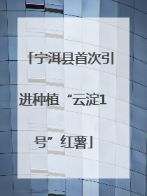 宁洱县首次引进种植“云淀1号”红薯