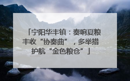 宁阳华丰镇：奏响夏粮丰收“协奏曲”，多举措护航“金色粮仓”