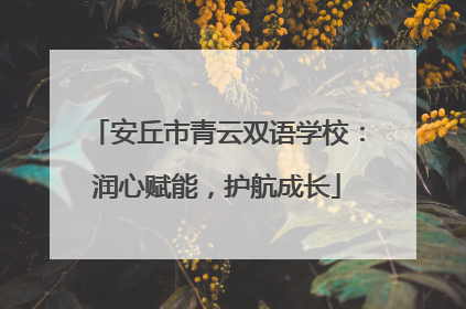 安丘市青云双语学校：润心赋能，护航成长