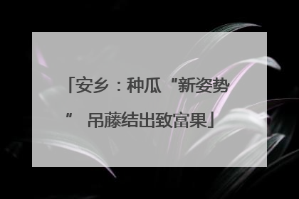 安乡：种瓜“新姿势” 吊藤结出致富果