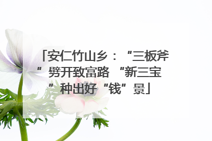 安仁竹山乡：“三板斧”劈开致富路 “新三宝”种出好“钱”景