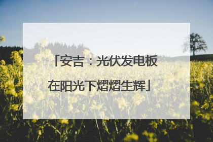 安吉：光伏发电板在阳光下熠熠生辉