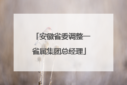 安徽省委调整一省属集团总经理