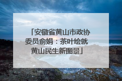 安徽省黄山市政协委员俞娟：茶叶绘就黄山民生新图景