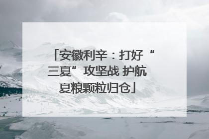 安徽利辛：打好“三夏”攻坚战 护航夏粮颗粒归仓