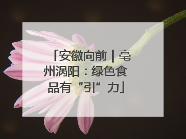安徽向前｜亳州涡阳：绿色食品有“引”力