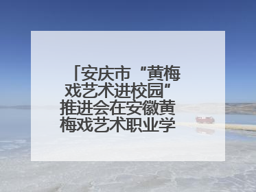 安庆市“黄梅戏艺术进校园”推进会在安徽黄梅戏艺术职业学院顺利召开
