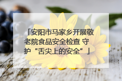 安阳市马家乡开展敬老院食品安全检查 守护“舌尖上的安全”