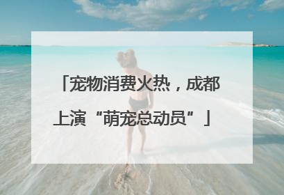 宠物消费火热，成都上演“萌宠总动员”