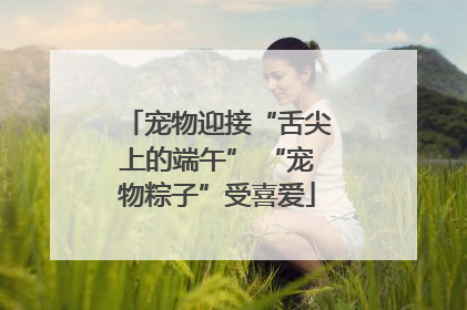 宠物迎接“舌尖上的端午” “宠物粽子”受喜爱