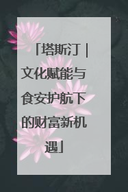 塔斯汀｜文化赋能与食安护航下的财富新机遇