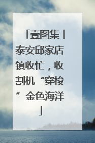 壹图集丨泰安邱家店镇收忙，收割机“穿梭”金色海洋