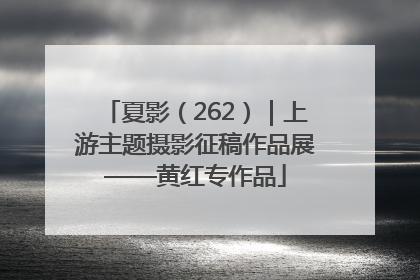 夏影（262）｜上游主题摄影征稿作品展——黄红专作品