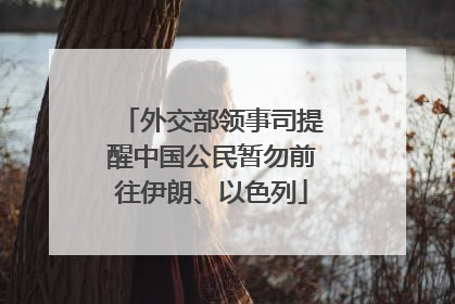 外交部领事司提醒中国公民暂勿前往伊朗、以色列