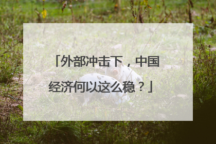外部冲击下，中国经济何以这么稳？