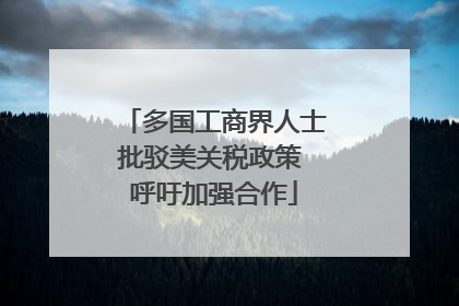 多国工商界人士批驳美关税政策 呼吁加强合作