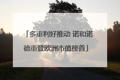 多重利好推动 诺和诺德重登欧洲市值榜首