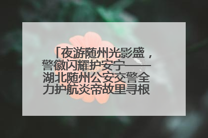 夜游随州光影盛，警徽闪耀护安宁——湖北随州公安交警全力护航炎帝故里寻根节夜游活动侧记