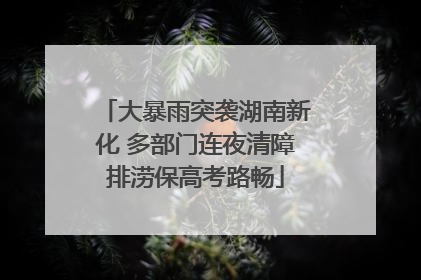 大暴雨突袭湖南新化 多部门连夜清障排涝保高考路畅