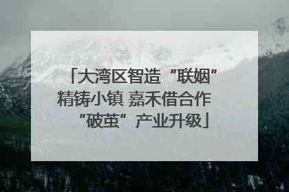 大湾区智造“联姻”精铸小镇 嘉禾借合作“破茧”产业升级