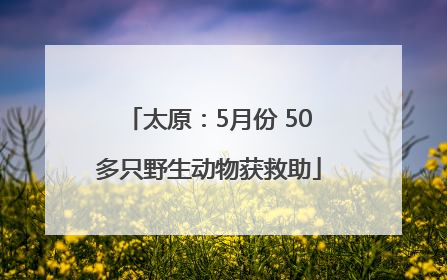 太原：5月份 50多只野生动物获救助