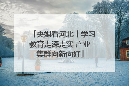 央媒看河北丨学习教育走深走实 产业集群向新向好