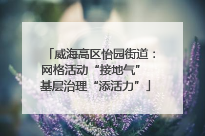威海高区怡园街道：网格活动“接地气” 基层治理“添活力”