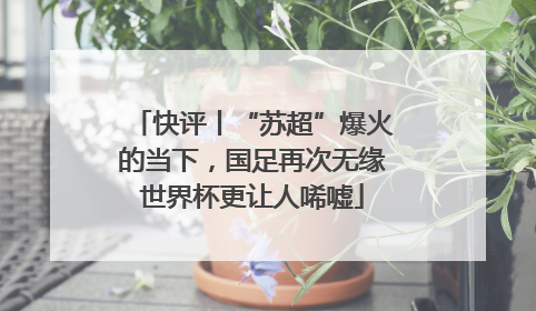 快评丨“苏超”爆火的当下，国足再次无缘世界杯更让人唏嘘
