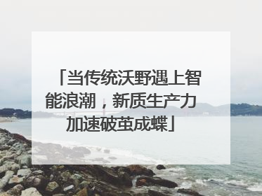 当传统沃野遇上智能浪潮，新质生产力加速破茧成蝶
