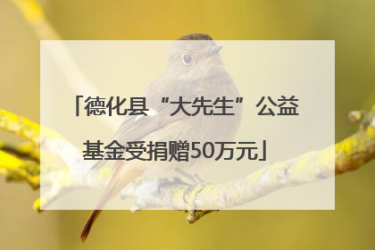 德化县“大先生”公益基金受捐赠50万元