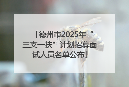 德州市2025年“三支一扶”计划招募面试人员名单公布