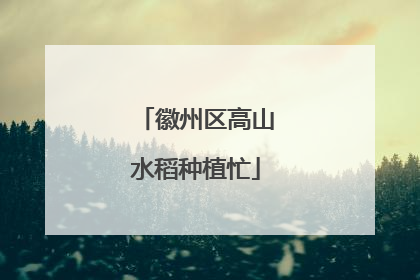 徽州区高山水稻种植忙