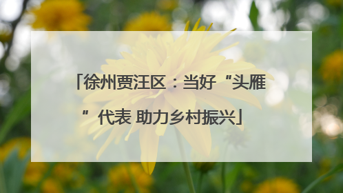 徐州贾汪区：当好“头雁”代表 助力乡村振兴