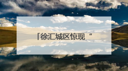 徐汇城区惊现“鸟中国宝”！看城管小哥如何救下这只“彩虹小鸟”