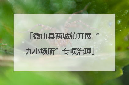 微山县两城镇开展“九小场所”专项治理