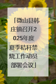 微山县韩庄镇召开2025年度夏季秸秆禁烧工作动员部署会议