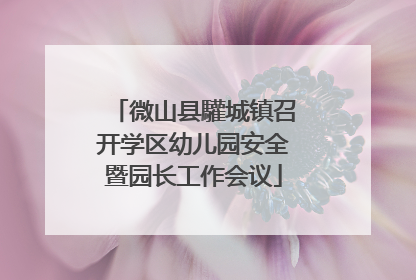 微山县驩城镇召开学区幼儿园安全暨园长工作会议
