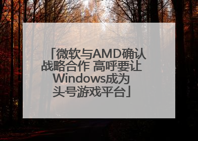 微软与AMD确认战略合作 高呼要让Windows成为头号游戏平台
