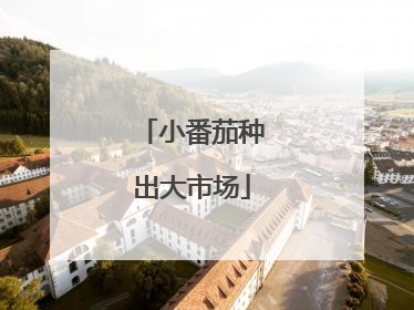 小番茄种出大市场