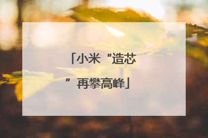 小米“造芯”再攀高峰