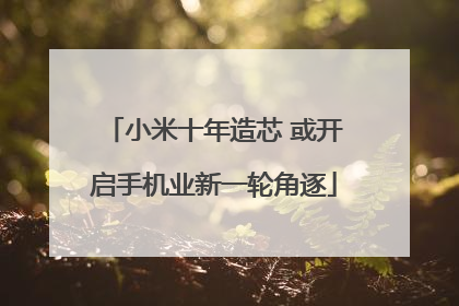 小米十年造芯 或开启手机业新一轮角逐