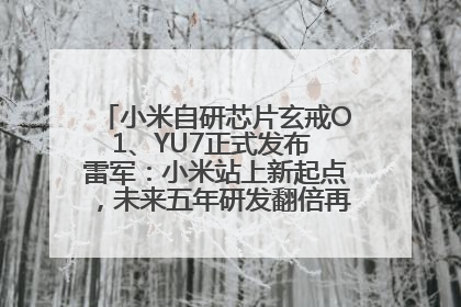 小米自研芯片玄戒O1、YU7正式发布 雷军:小米站上新起点,未来五年研发翻倍再投2000亿元