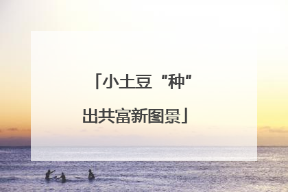小土豆“种”出共富新图景